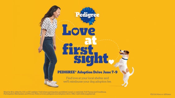 The PEDIGREE® Brand Knows Love at First Sight Still Exists