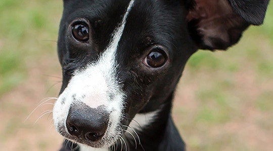 common-myths-true-or-false-540x300