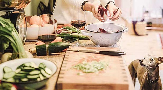 Should You Share Holiday Leftovers with Your Dog?