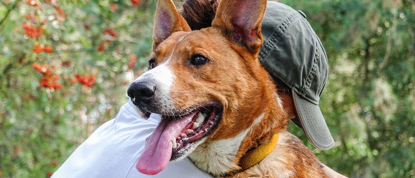 A young woman in a cap is hugging a mixed breed dog. The dog looks happy and has its tongue out.