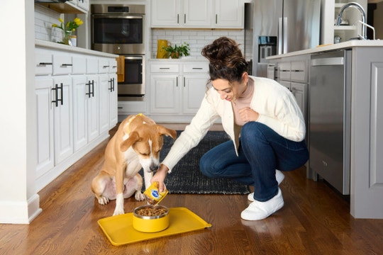 Dog eagerly waiting to eat PEDIGREE® dog food