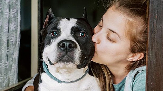 kissing a dog hero