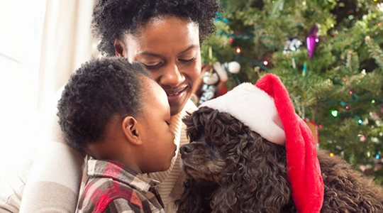 Holiday Gifts for Dogs and Dog Lovers