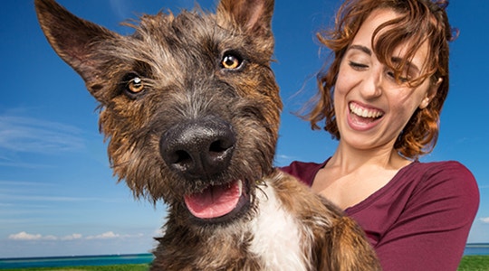 wisdom-panel-what-does-your-dogs-dna-say-540x300