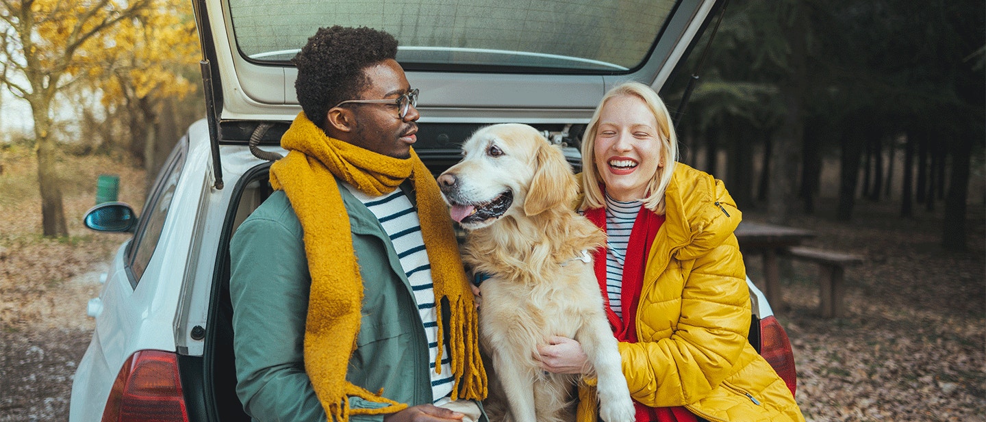 A photo of a young couple and their dog sitting in the trunk of a car on a beautiful autumn day. They have taken a road trip to a woodland walking spot.