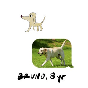 dog drawing by bruno 8 yr old