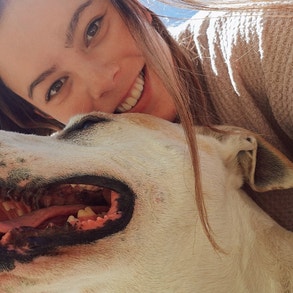 How to Adopt a Dog: Your Ultimate Guide