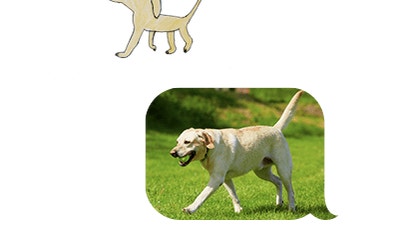 dog drawing by bruno 8 yr old