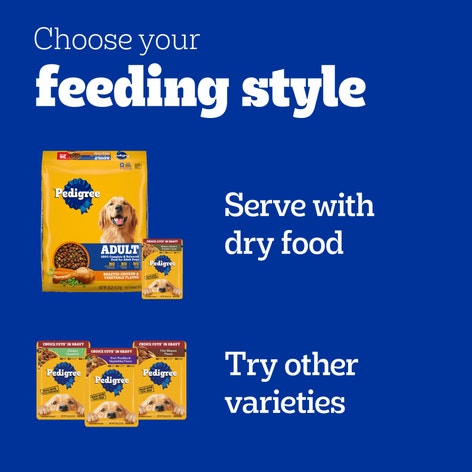 PEDIGREE® CHOICE CUTS IN GRAVY Adult Soft Wet Dog Food 30-Count Variety Pack image 1