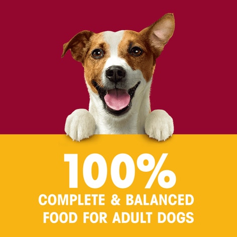 PEDIGREE® Adult Marrobites Steak and Vegetable image 1