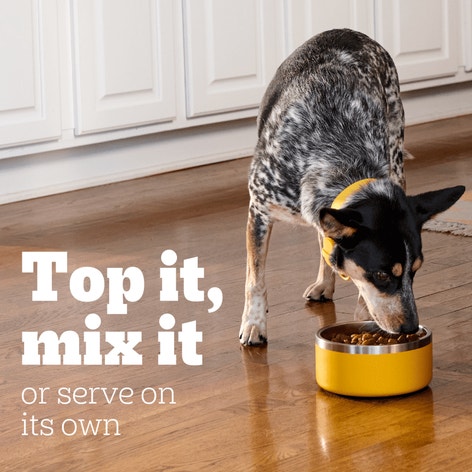 PEDIGREE® Pouch TRADITIONAL GROUND DINNER® 8ct image 1