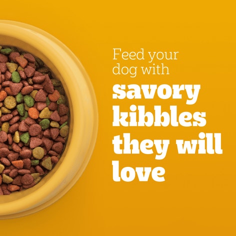 PEDIGREE® Dry Dog Food Small Dog Grilled Steak and Vegetable Flavor image 1