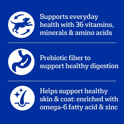 PEDIGREE® Dry Dog Food High Protein Chicken and Turkey Flavor image 1