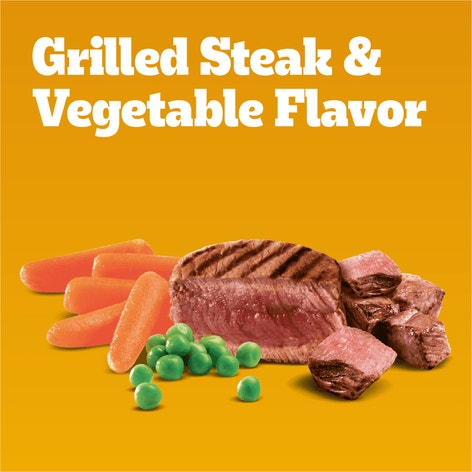 PEDIGREE® Dry Dog Food Small Dog Grilled Steak and Vegetable Flavor image 1