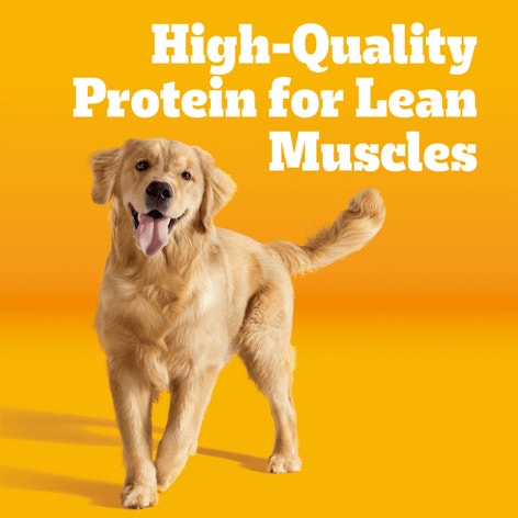 PEDIGREE® Dry Dog Food Adult Roasted Chicken & Vegetable Flavor image 1