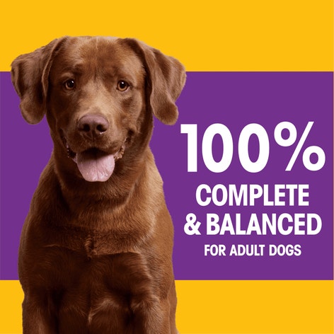 PEDIGREE® With TENDER BITES™ Complete Nutrition Adult Dry Dog Food Chicken & Steak Flavor Dog Kibble image 1