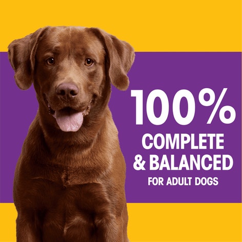 PEDIGREE® With Tender Bites Complete Nutrition Adult Dry Dog Food Chicken & Steak Flavor Dog Kibble image 1