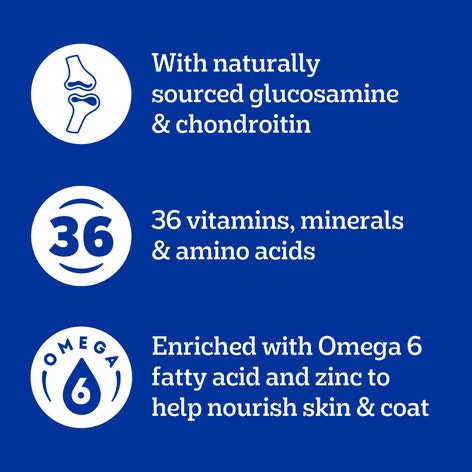 PEDIGREE® Big Dogs Roasted Chicken, Rice & Vegetable Dry Dog Food image 1