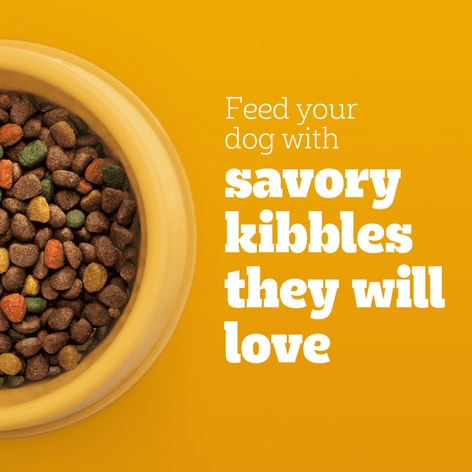 PEDIGREE® Dry Dog Food Adult Roasted Chicken, Rice & Vegetable Flavor image 1