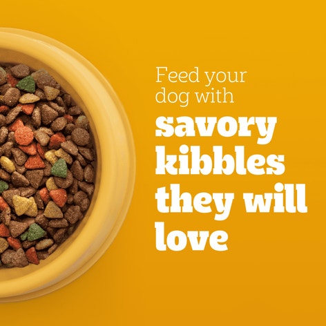 PEDIGREE® Dry Dog Food Small Dog Roasted Chicken, Rice & Vegetable Flavor image 1