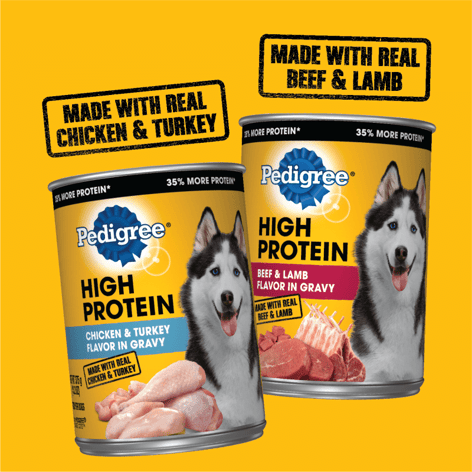 PEDIGREE® HIGH PROTEIN Chicken & Turkey, Beef & Lamb 12ct Wet Dog Food image 1