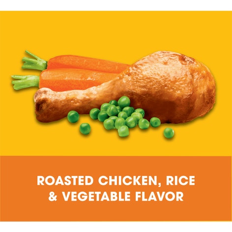 PEDIGREE® Dry Dog Food Adult Roasted Chicken, Rice & Vegetable Flavor image 1