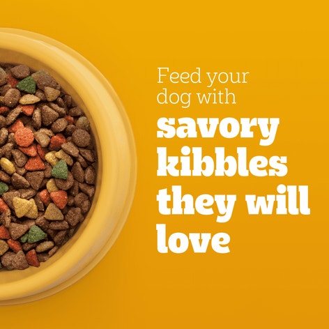 PEDIGREE® Dry Dog Food Small Dog Roasted Chicken, Rice & Vegetable Flavor image 1