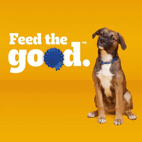 PEDIGREE® Soft Wet Dog Food Puppy Morsels in Sauce With Beef image 1