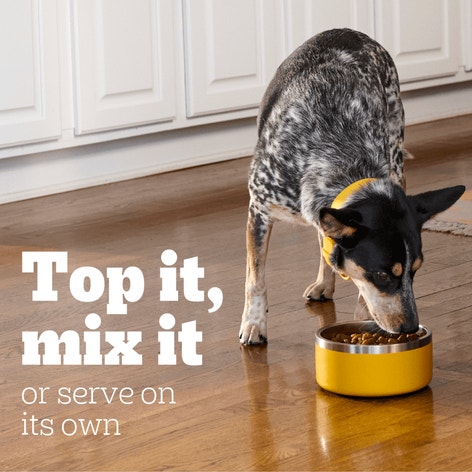 PEDIGREE® Can High Protein Chopped Beef & Bison Flavor image 1