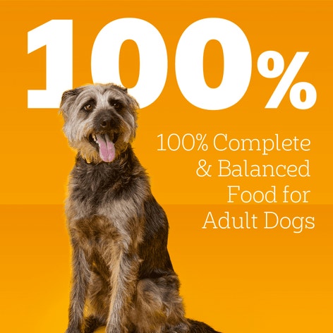 PEDIGREE® Small Dog TENDER BITES™ Steak & Vegetable image 1