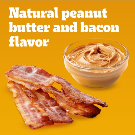 PEDIGREE® Mini Tasty Biscuits Dog Treats, Peanut Butter & Bacon Flavor image 1