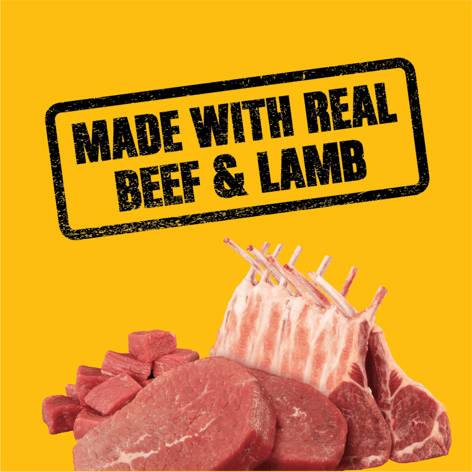 PEDIGREE® HIGH PROTEIN Beef & Lamb Wet Dog Food image 1