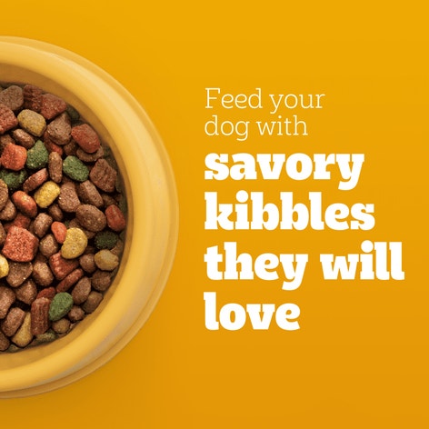 PEDIGREE® Adult Dry Dog Food, Roasted Chicken and Vegetable Flavor with Bacon Flavored Bites image 1