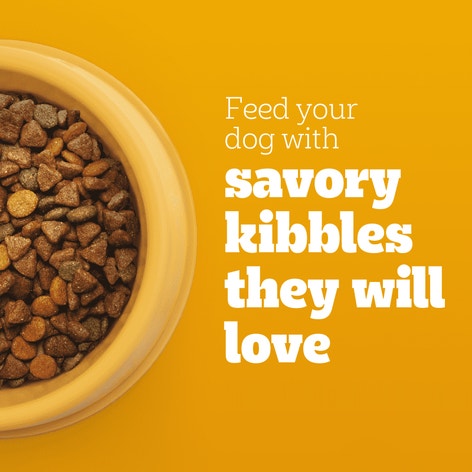PEDIGREE® With TENDER BITES™ for Small Dogs Complete Nutrition Adult Dry Dog Food Chicken & Steak Flavor Dog Kibble image 1