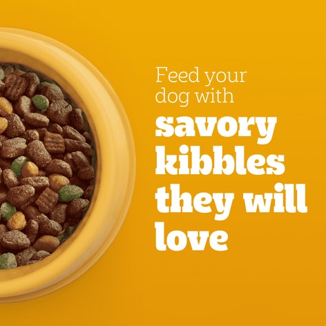 PEDIGREE® With TENDER BITES™ Complete Nutrition Adult Dry Dog Food Chicken & Steak Flavor Dog Kibble image 1