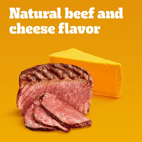 PEDIGREE®  Large Tasty Biscuits Dog Treats, Beef & Cheese Flavor image 1