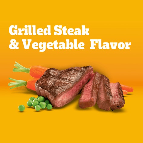 PEDIGREE® Dry Dog Food Adult Grilled Steak & Vegetable Flavor image 1