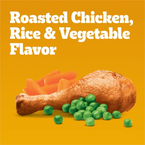 PEDIGREE® Dry Dog Food Small Dog Roasted Chicken, Rice & Vegetable Flavor image 1