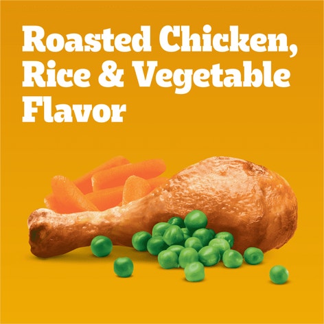 PEDIGREE® Dry Dog Food Small Dog Roasted Chicken, Rice & Vegetable Flavor image 1