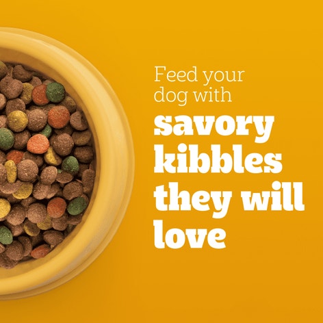 PEDIGREE® Big Dogs Roasted Chicken, Rice & Vegetable Dry Dog Food image 1