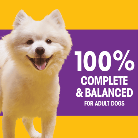 PEDIGREE® With Tender Bites for Small Dogs Complete Nutrition Adult Dry Dog Food Chicken & Steak Flavor Dog Kibble image 1