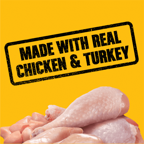 PEDIGREE® HIGH PROTEIN Chicken & Turkey Wet Dog Food image 1