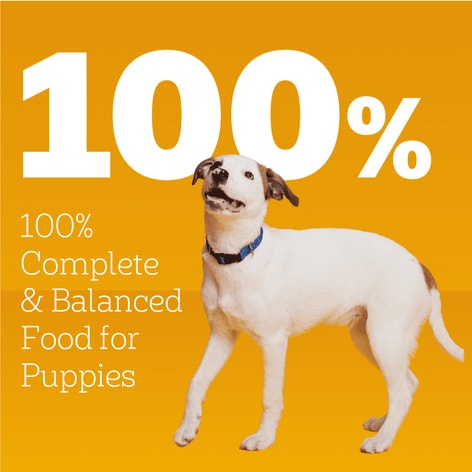 PEDIGREE® PUPPY™  Complete Nutrition - Chopped Ground Dinner with Chicken & Beef Wet Dog Food image 1