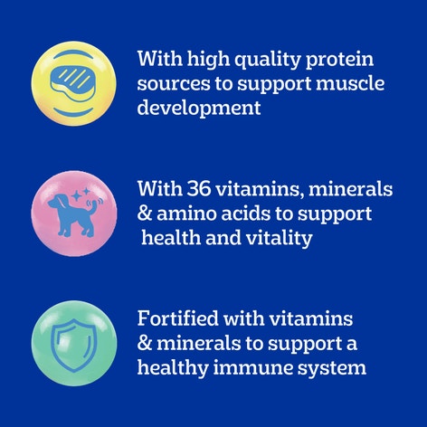 PEDIGREE PUPPY™ Grilled Steak & Vegetable Flavor image 1
