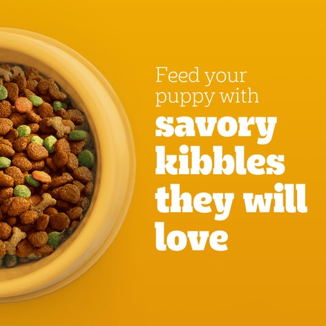 PEDIGREE PUPPY™ Grilled Steak & Vegetable Flavor image 1