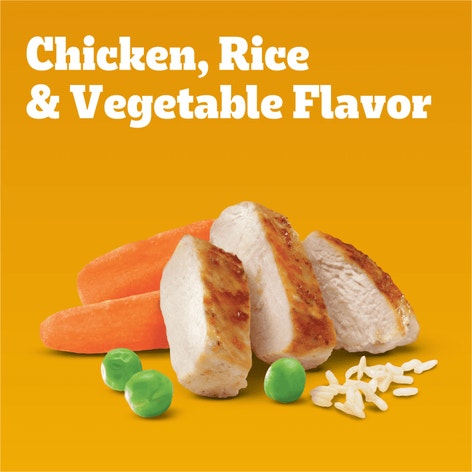 PEDIGREE® PUPPY™ Growth & Protection Dry Dog Food Chicken & Vegetable Flavor image 1