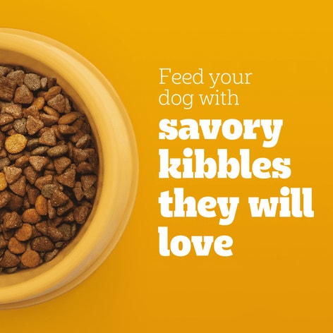 PEDIGREE® With TENDER BITES™ for Small Dogs Complete Nutrition Adult Dry Dog Food Chicken & Steak Flavor Dog Kibble image 1
