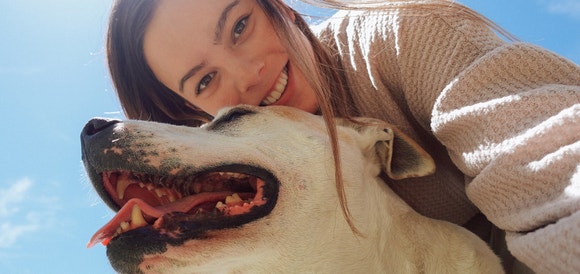 pedigree ultimate adoption hero