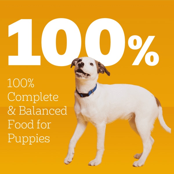 PEDIGREE® Wet Dog Food PUPPY® Complete Nutrition - Chopped Ground Dinner with Lamb & Rice image 5