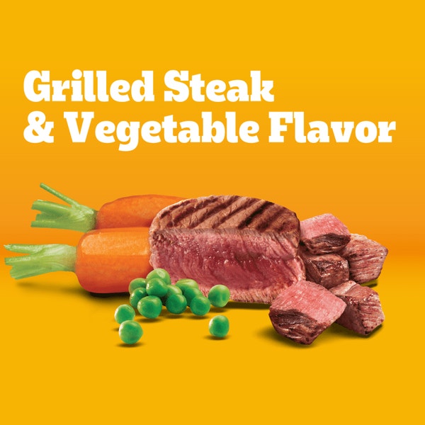 PEDIGREE® Dry Dog Food Small Dog Grilled Steak and Vegetable Flavor image 2